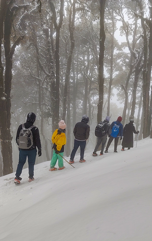 Nag Tibba Weekend Trek